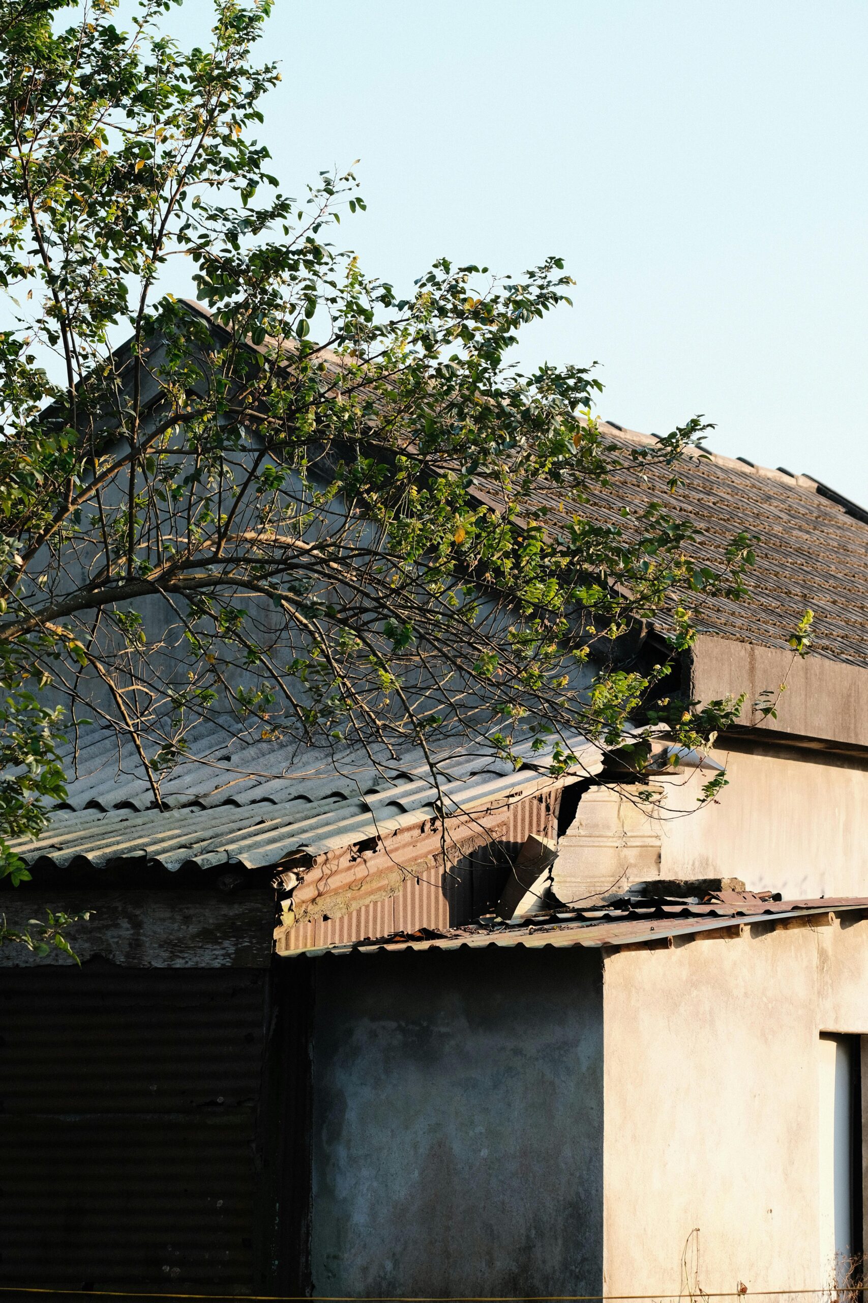 View of a deteriorating house with damaged roof and tree in rural area.