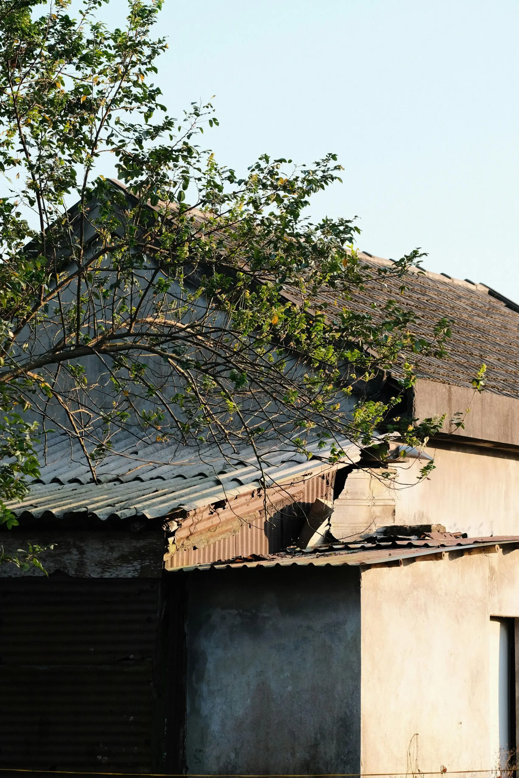 View of a deteriorating house with damaged roof and tree in rural area.